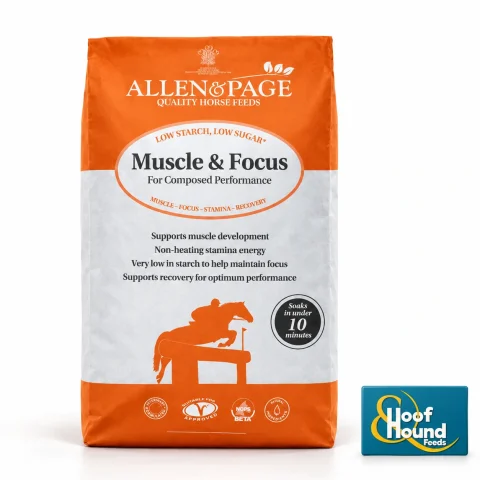 Allen & Page Muscle & focus