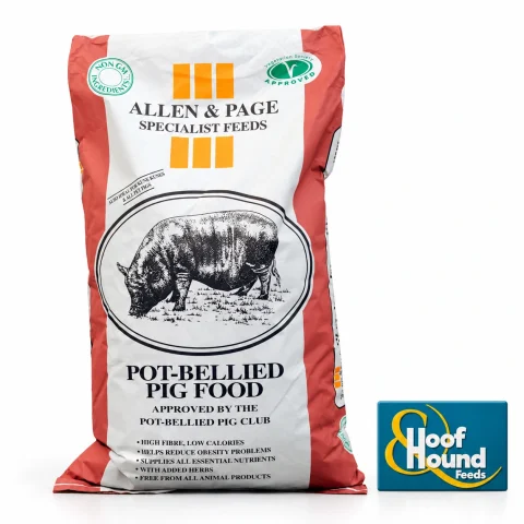 Allen & Page Pot bellied pig