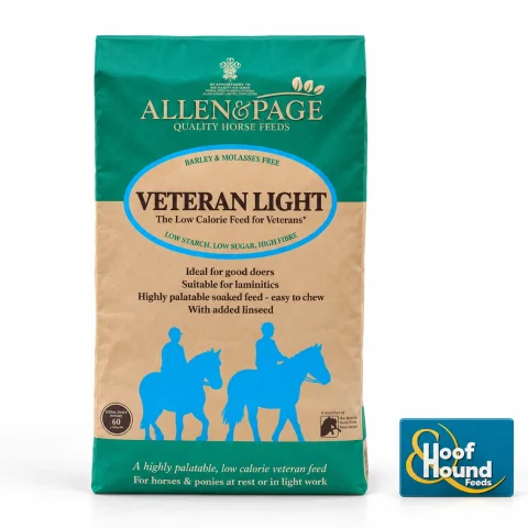 Allen & Page Veteran light
