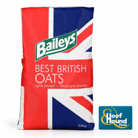 Baileys British oats (bruised)