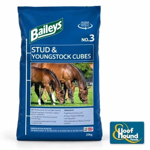 Baileys No. 3 stud cubes